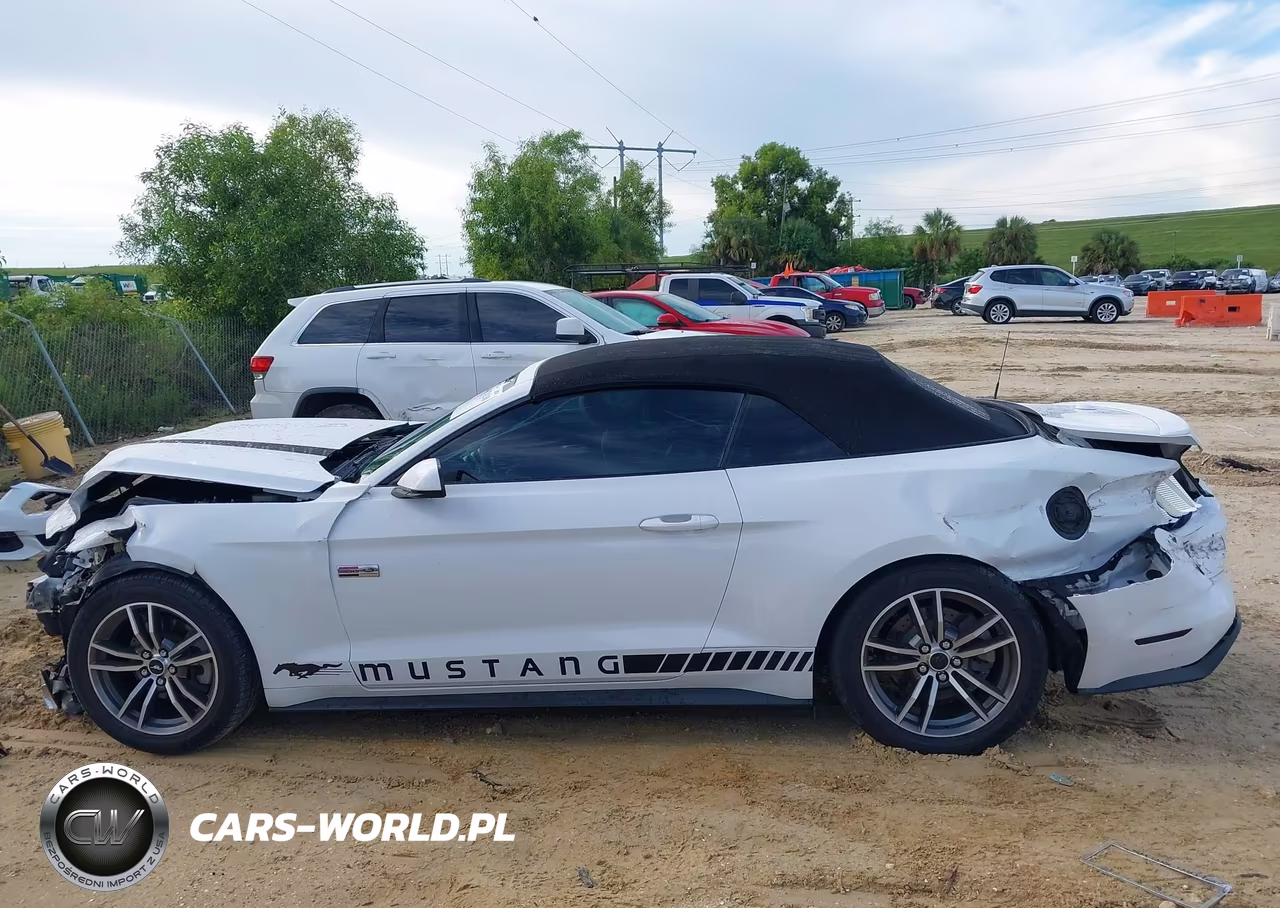 2017 Ford Mustang Ecoboost Premium VIN:1FATP8UH3H5204397 - 15