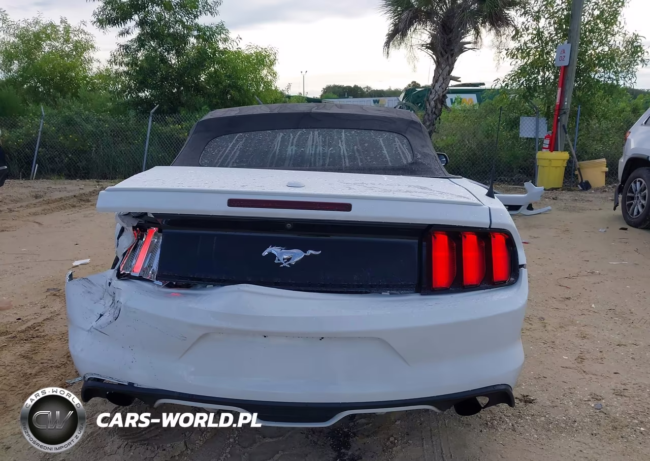 2017 Ford Mustang Ecoboost Premium VIN:1FATP8UH3H5204397 - 17