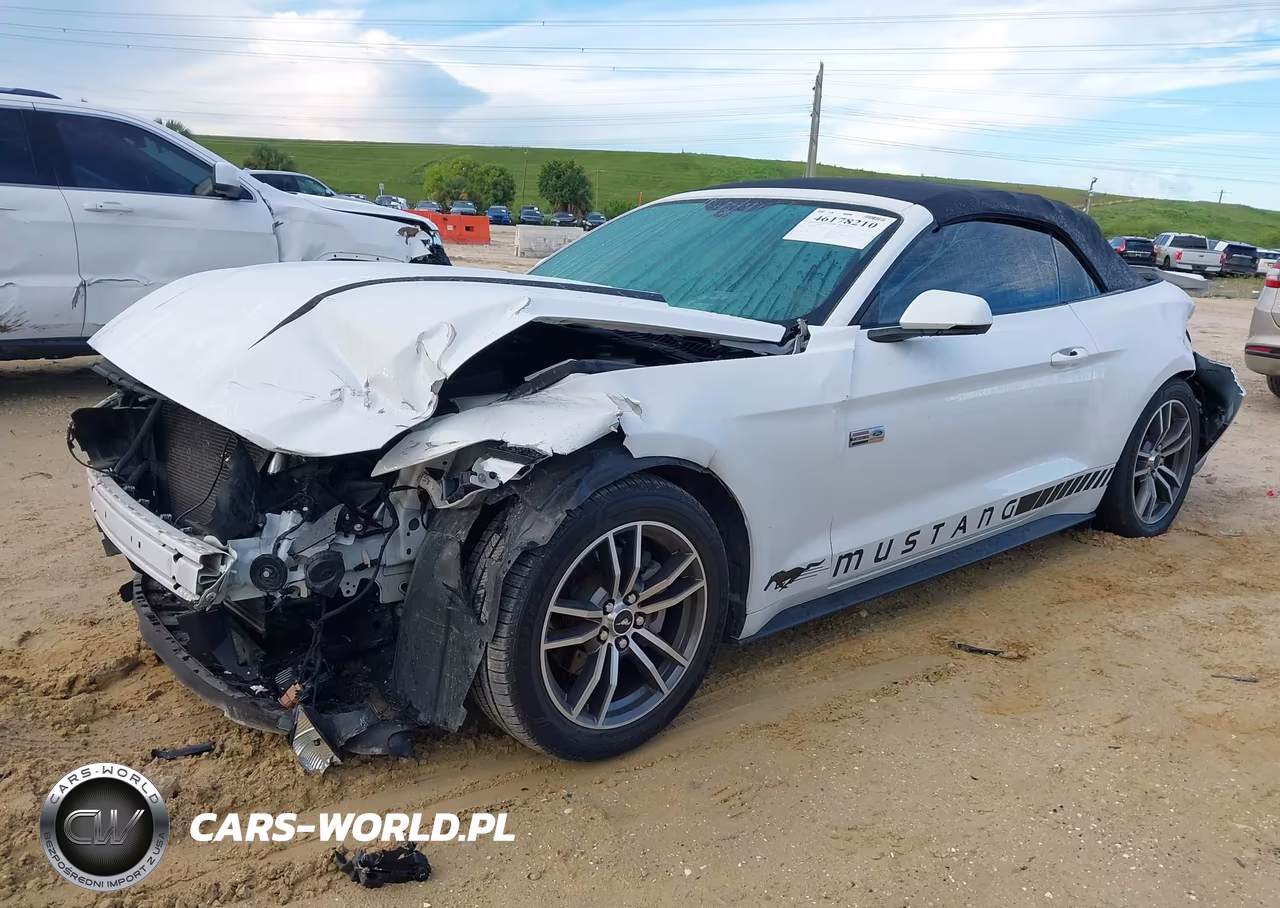 2017 Ford Mustang Ecoboost Premium VIN:1FATP8UH3H5204397 - 2