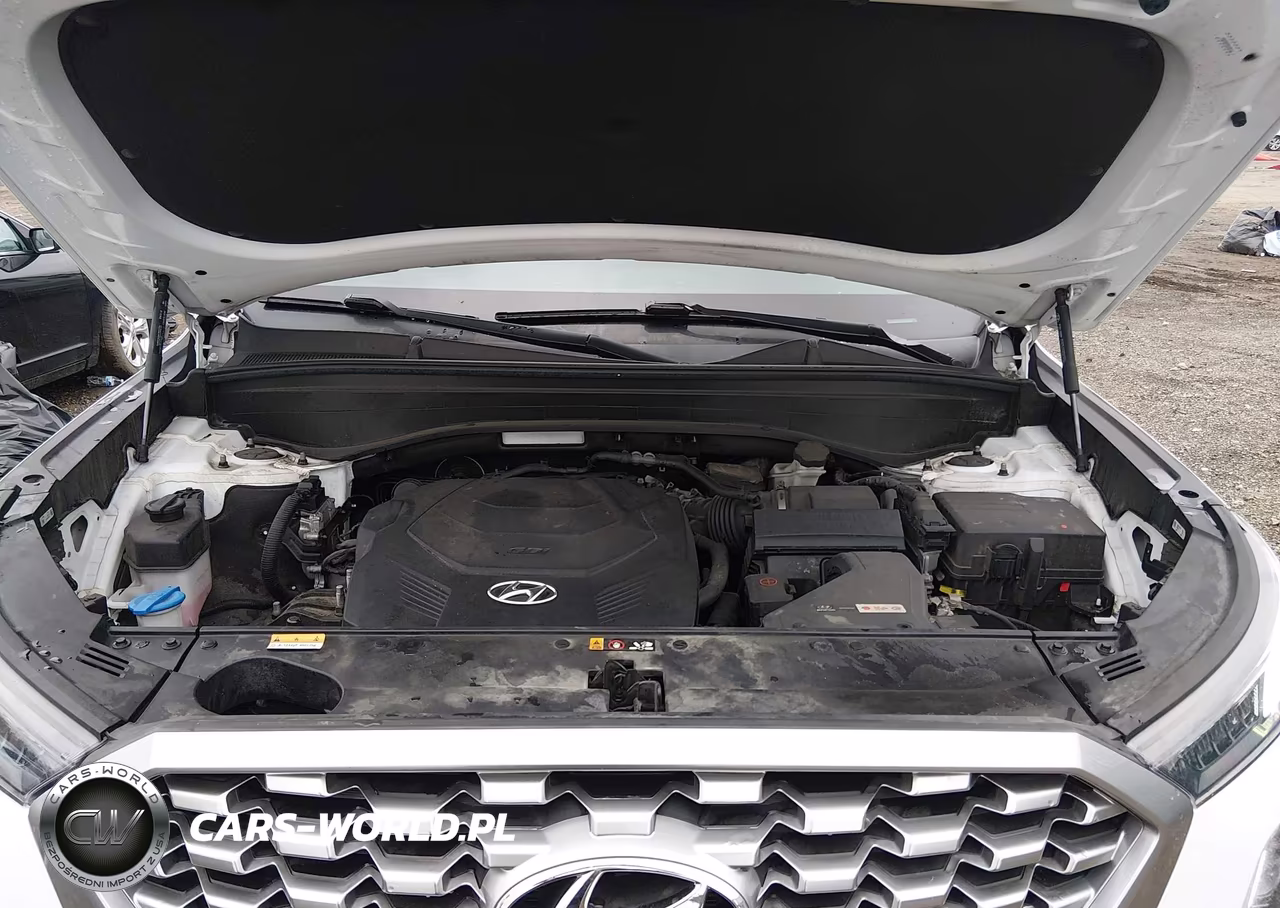2021 Hyundai Palisade Sel VIN:KM8R3DHE9MU298161 - 10
