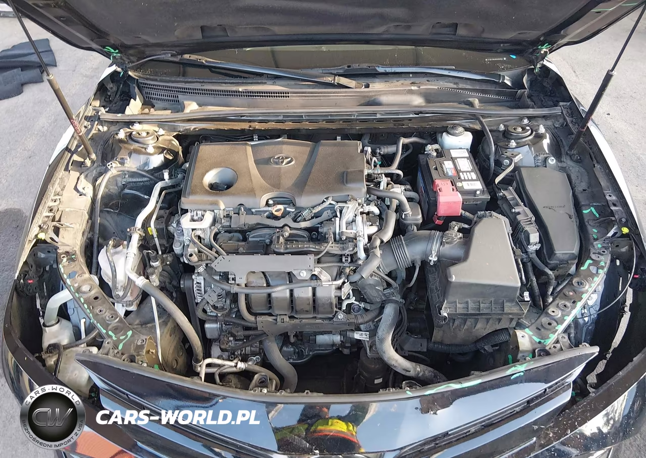 2019 Toyota Camry Le VIN:4T1B11HKXKU284004 - 10