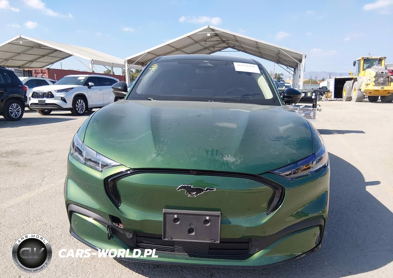 2024 Ford Mustang Mach-E Premium VIN:3FMTK3R72RMA46699 - 13