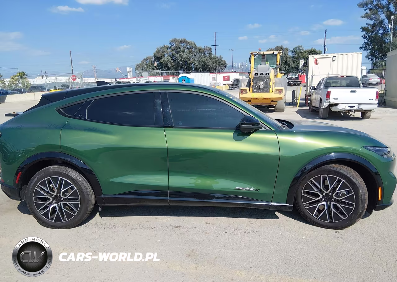 2024 Ford Mustang Mach-E Premium VIN:3FMTK3R72RMA46699 - 14
