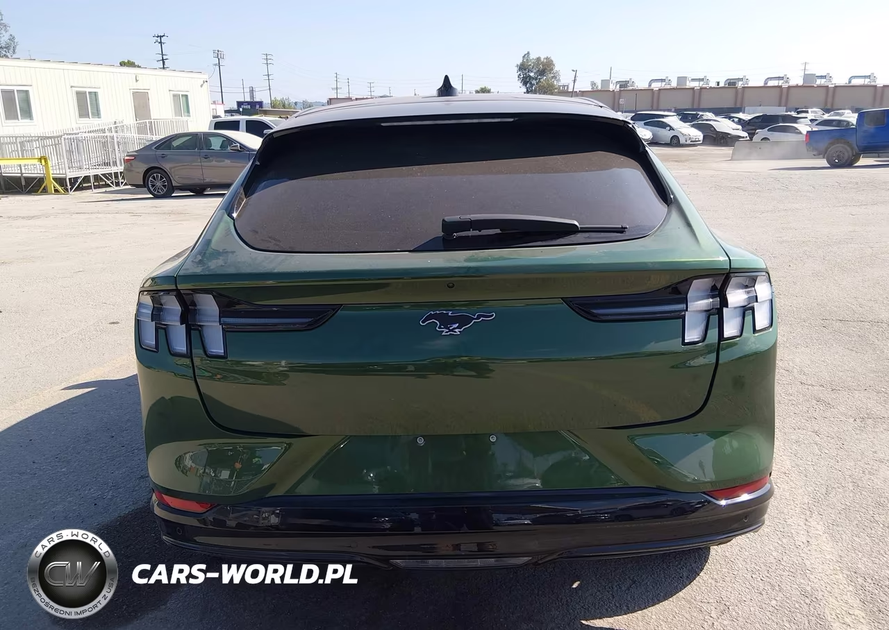 2024 Ford Mustang Mach-E Premium VIN:3FMTK3R72RMA46699 - 17