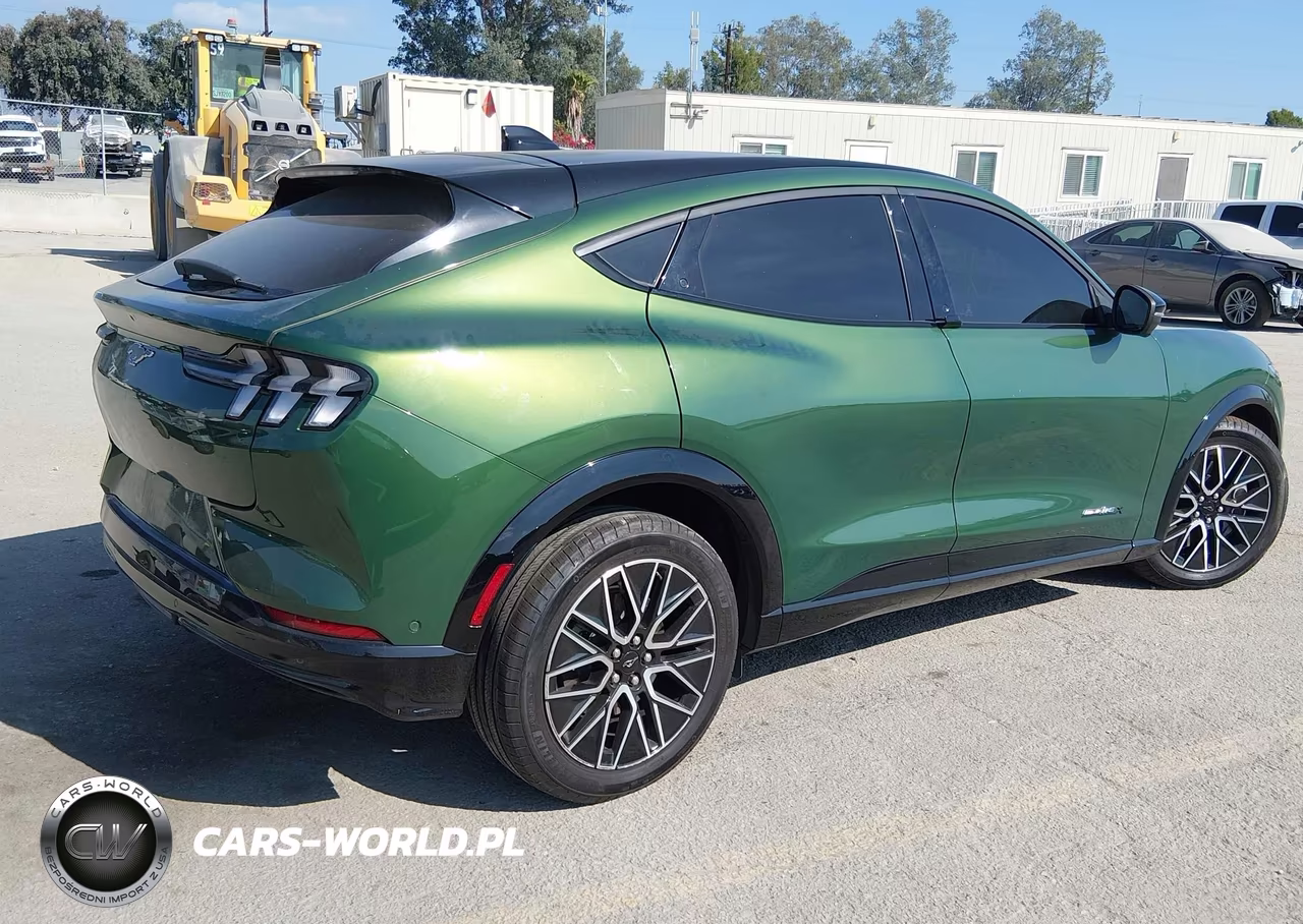 2024 Ford Mustang Mach-E Premium VIN:3FMTK3R72RMA46699 - 4