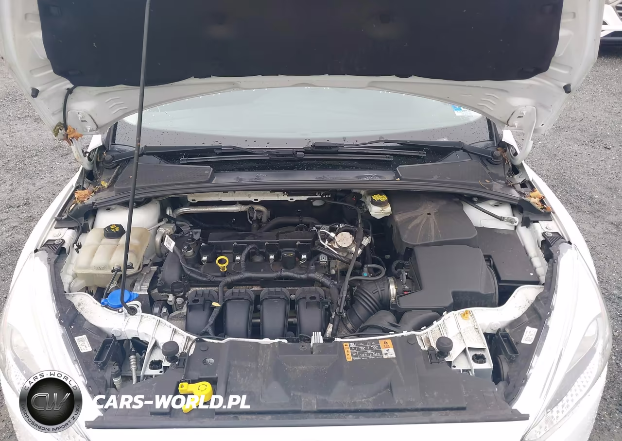 2017 Ford Focus Se VIN:1FADP3F26HL278165 - 10