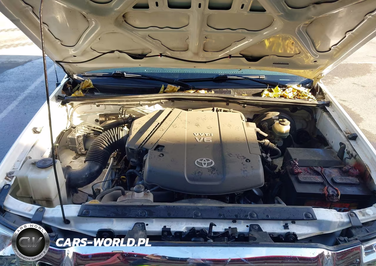 2009 Toyota Tacoma Base V6 VIN:3TMLU42N99M025684 - 10
