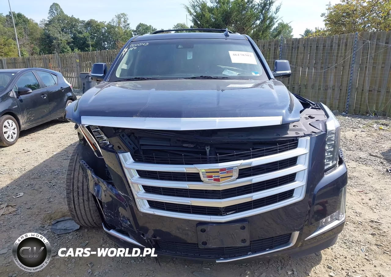 2019 Cadillac Escalade Esv Luxury VIN:1GYS4HKJ3KR253100 - 12