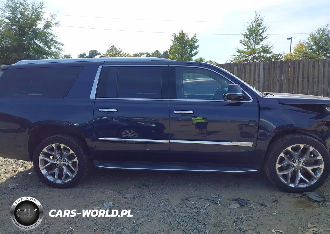 2019 Cadillac Escalade Esv Luxury VIN:1GYS4HKJ3KR253100 - 13