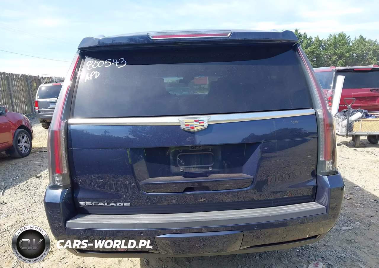 2019 Cadillac Escalade Esv Luxury VIN:1GYS4HKJ3KR253100 - 16