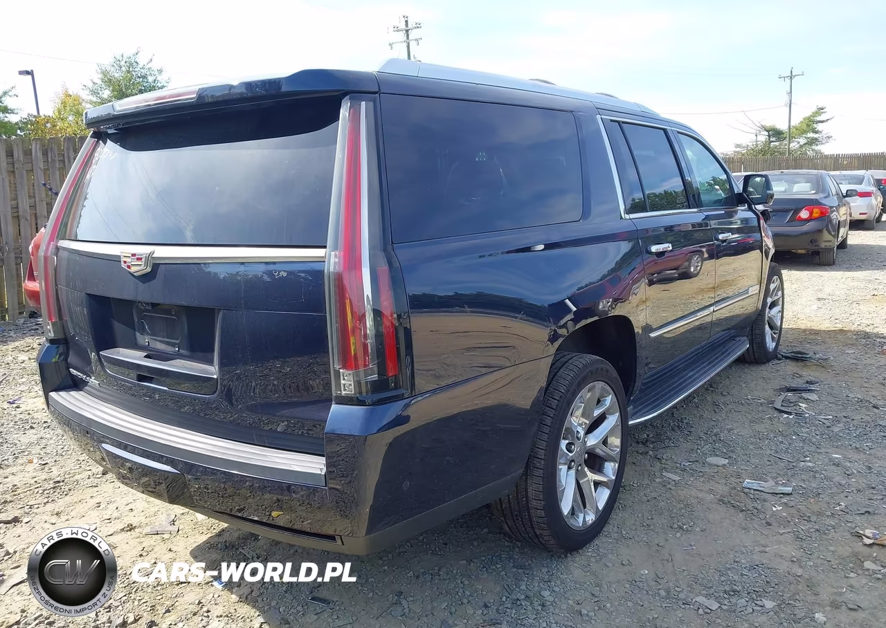 2019 Cadillac Escalade Esv Luxury VIN:1GYS4HKJ3KR253100 - 4