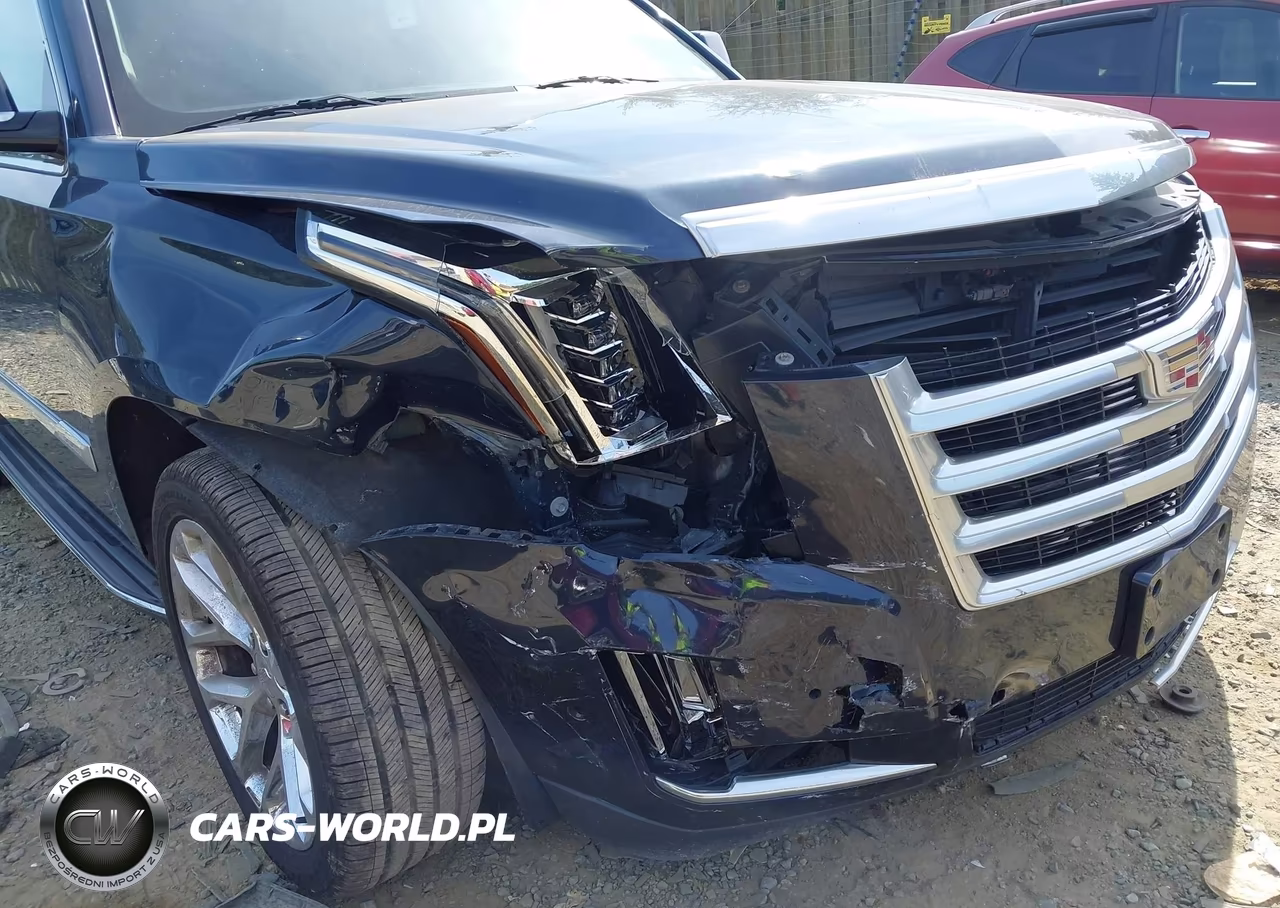 2019 Cadillac Escalade Esv Luxury VIN:1GYS4HKJ3KR253100 - 6