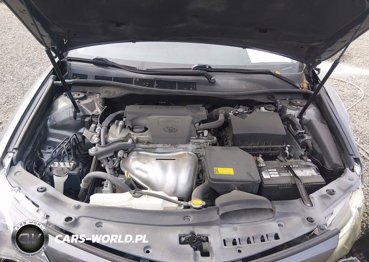 2014 Toyota Camry Se VIN:4T1BF1FK0EU365795 - 10