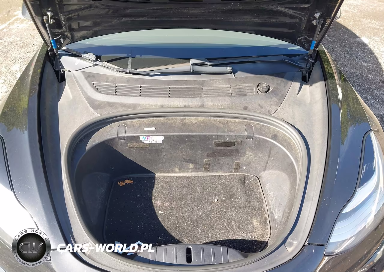 2019 Tesla Model 3 Long Range-Performance VIN:5YJ3E1EB3KF231073 - 10