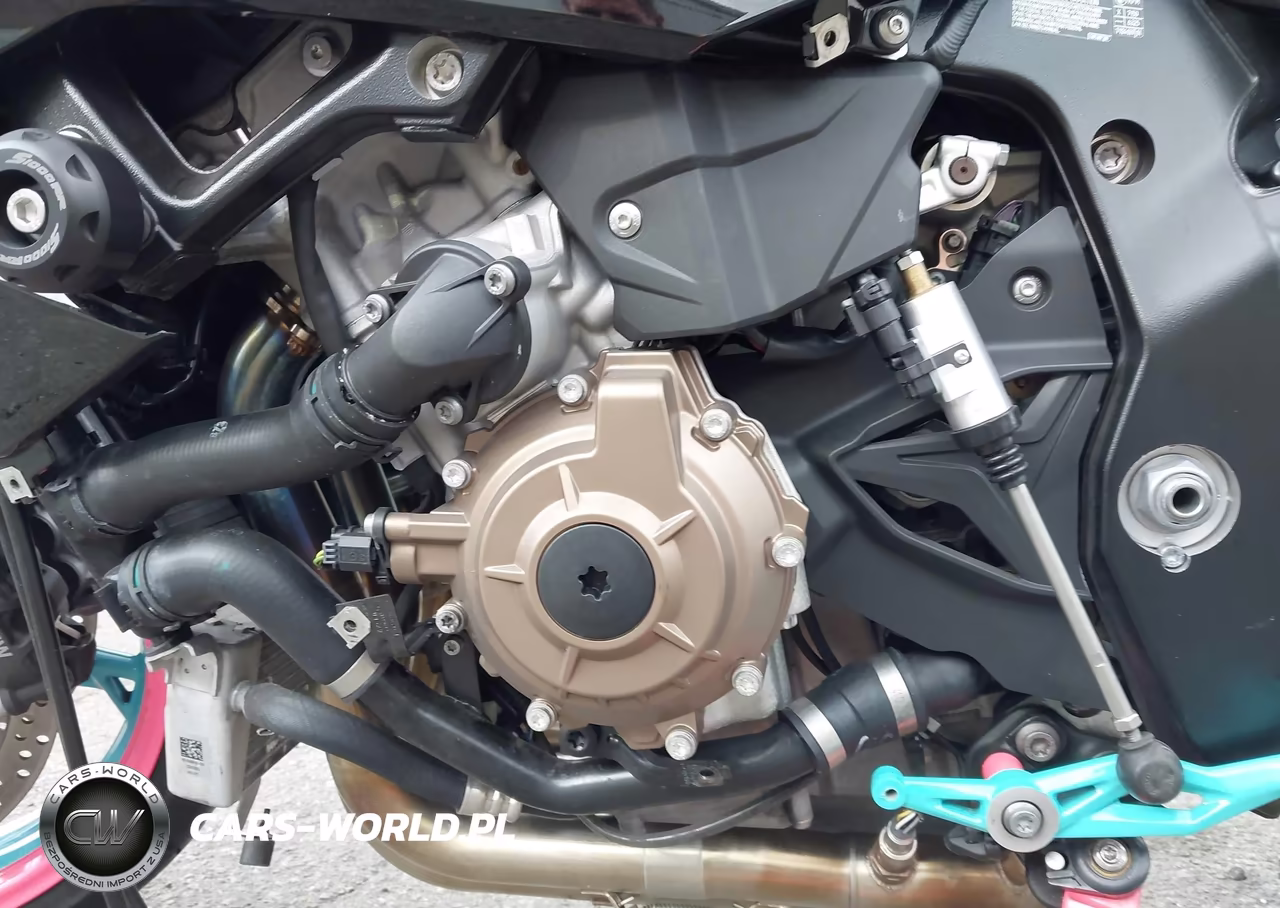 2022 BMW S 1000 Rr VIN:WB10E2304N6G08018 - 9