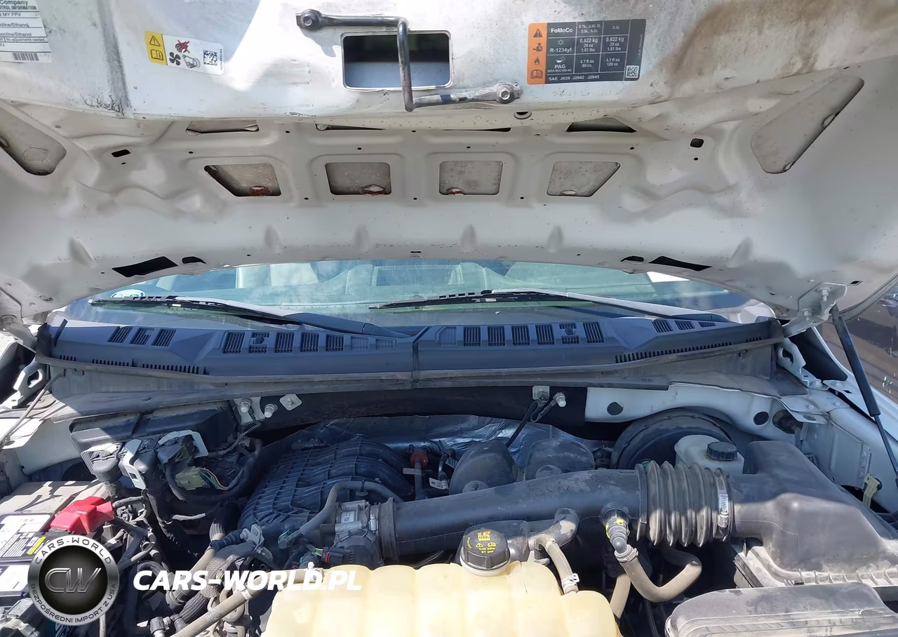 2019 Ford F-150 Xl VIN:1FTMF1CB5KKD33109 - 10