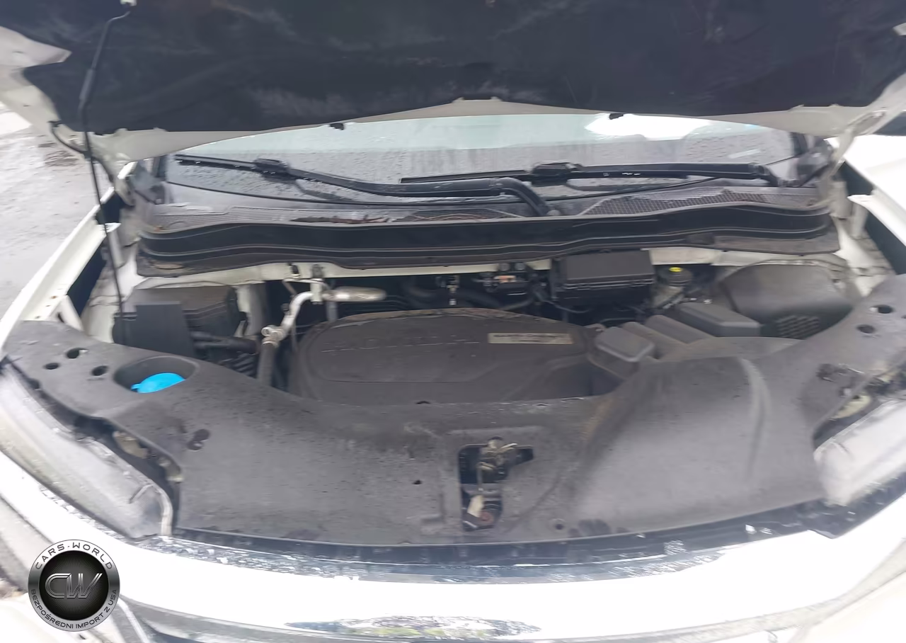 2019 Honda Pilot Elite VIN:5FNYF6H07KB042257 - 10