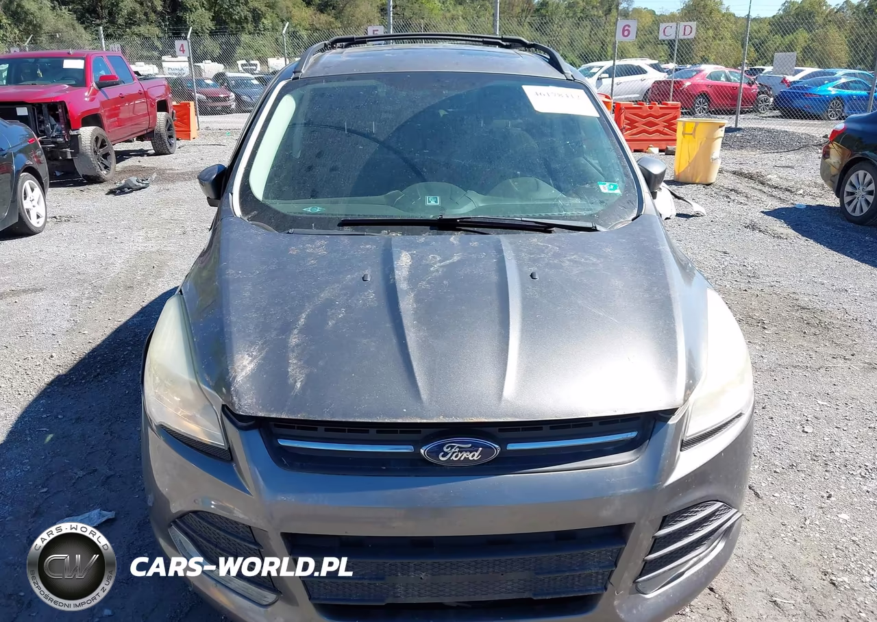 2013 Ford Escape Se VIN:1FMCU9G96DUC73450 - 12