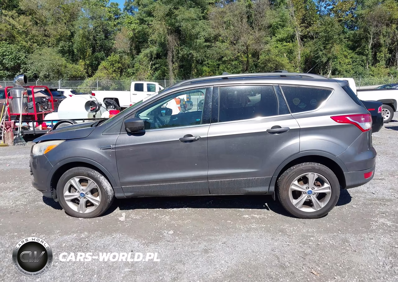 2013 Ford Escape Se VIN:1FMCU9G96DUC73450 - 14