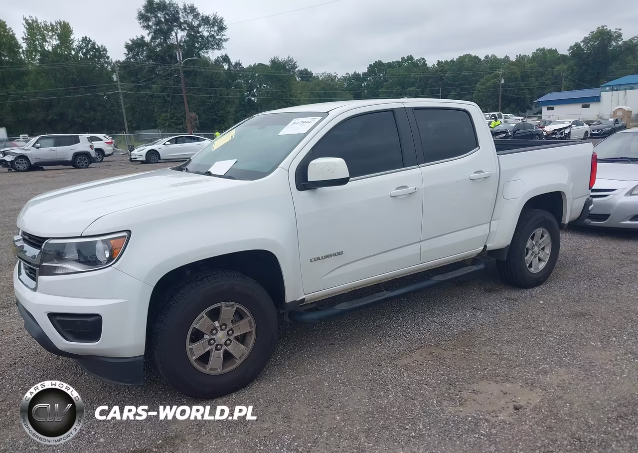 2019 Chevrolet Colorado Wt VIN:1GCGSBEA9K1344915 - 2
