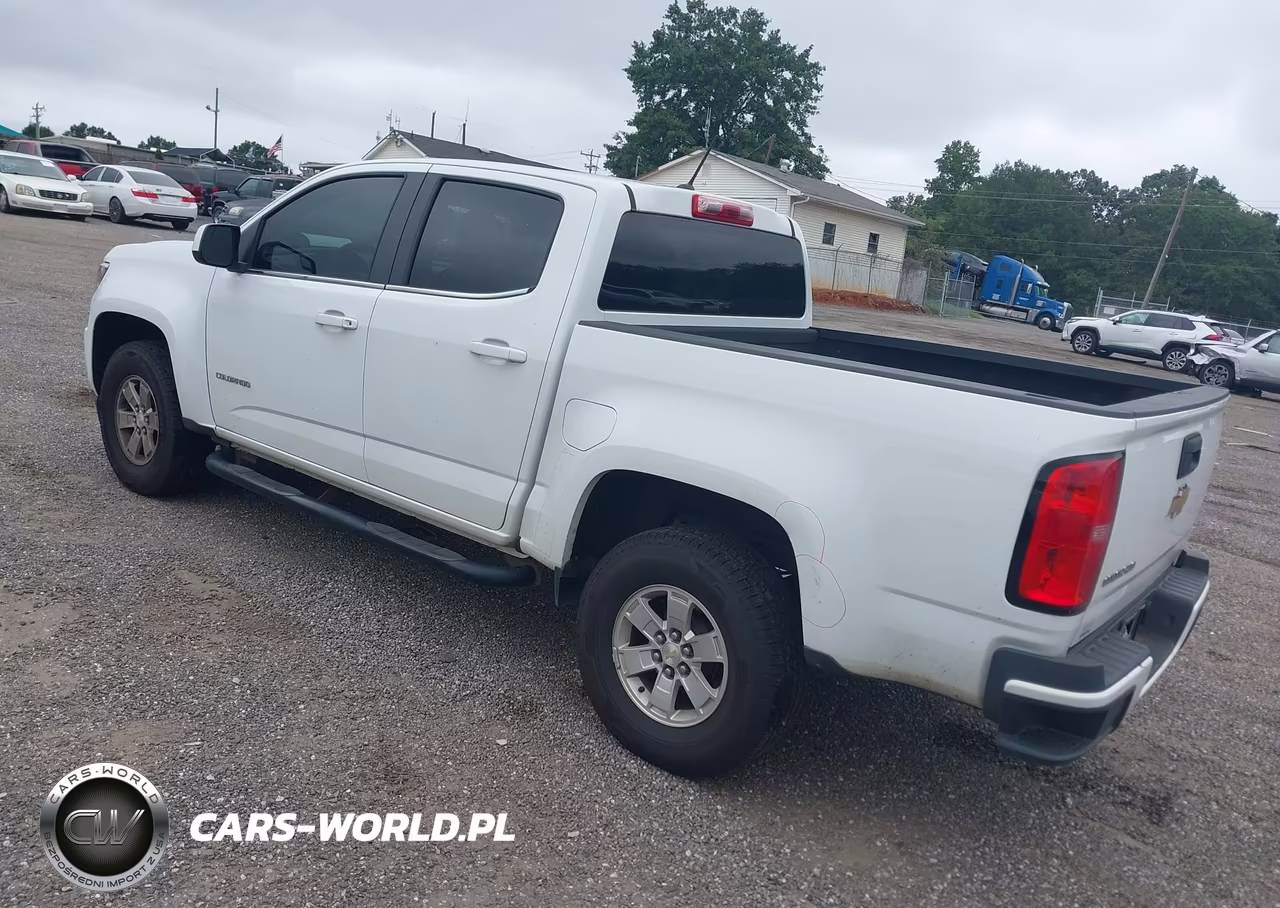 2019 Chevrolet Colorado Wt VIN:1GCGSBEA9K1344915 - 3