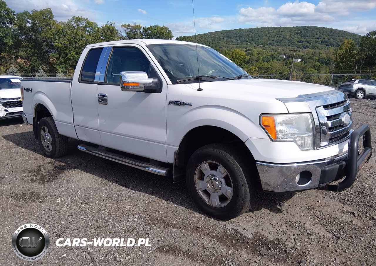 2009 Ford F-150 Stx-Xl-Xlt