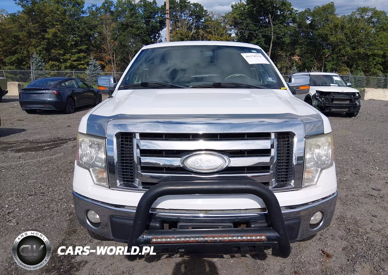 2009 Ford F-150 Stx-Xl-Xlt VIN:1FTRX14899FA79185 - 12