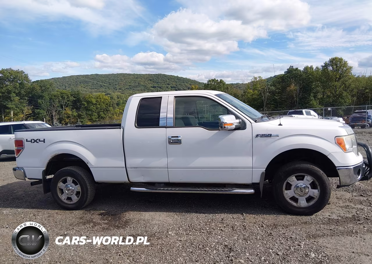 2009 Ford F-150 Stx-Xl-Xlt VIN:1FTRX14899FA79185 - 13