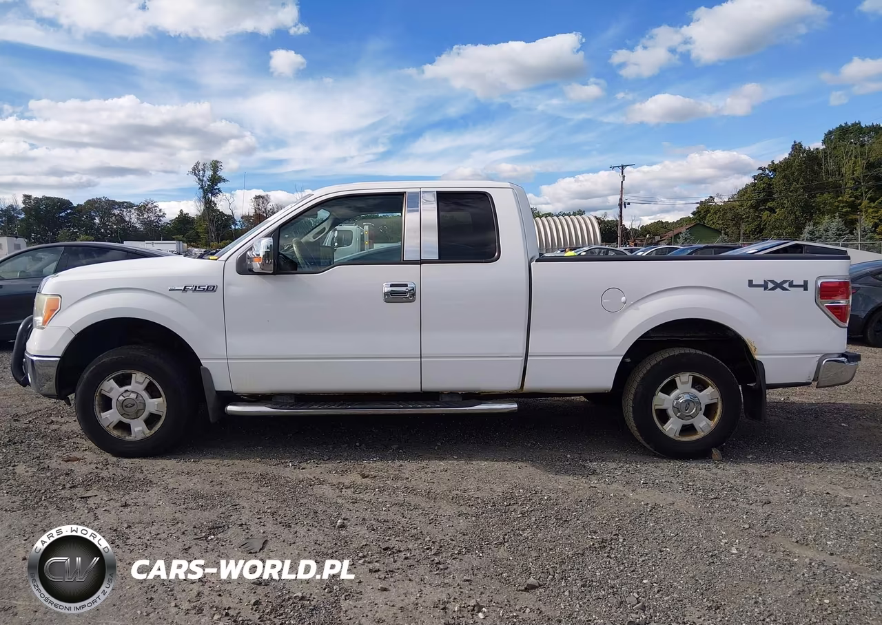 2009 Ford F-150 Stx-Xl-Xlt VIN:1FTRX14899FA79185 - 14