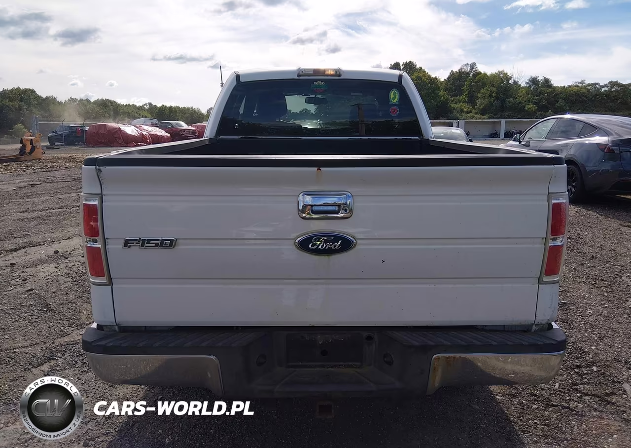 2009 Ford F-150 Stx-Xl-Xlt VIN:1FTRX14899FA79185 - 16
