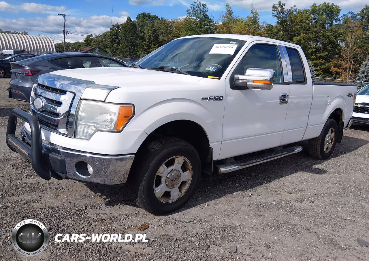 2009 Ford F-150 Stx-Xl-Xlt VIN:1FTRX14899FA79185 - 2