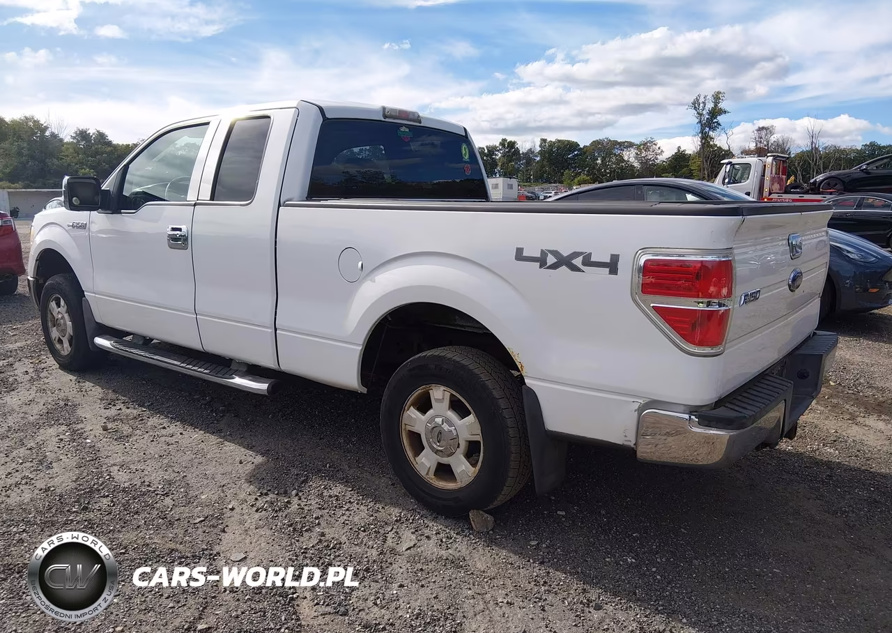 2009 Ford F-150 Stx-Xl-Xlt VIN:1FTRX14899FA79185 - 3