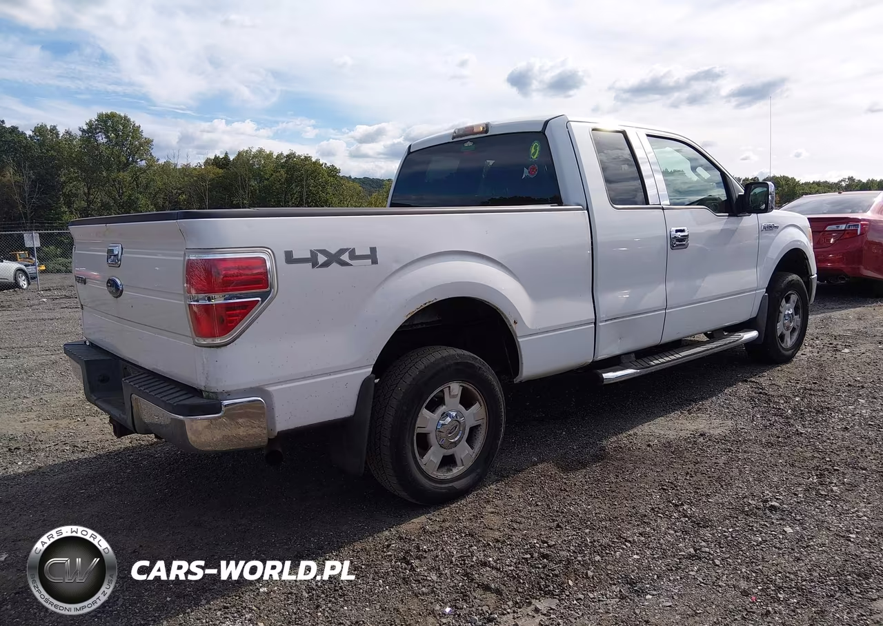 2009 Ford F-150 Stx-Xl-Xlt VIN:1FTRX14899FA79185 - 4