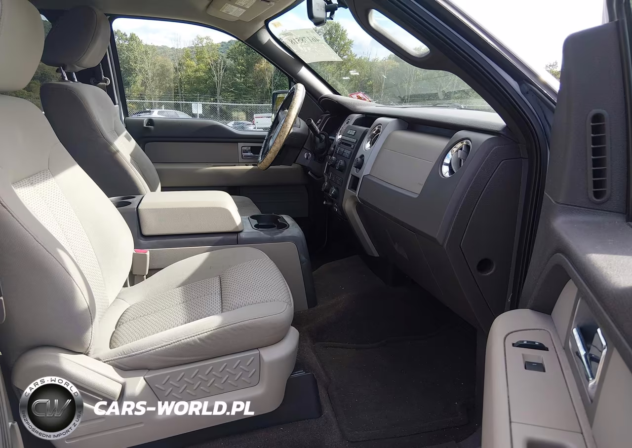 2009 Ford F-150 Stx-Xl-Xlt VIN:1FTRX14899FA79185 - 5