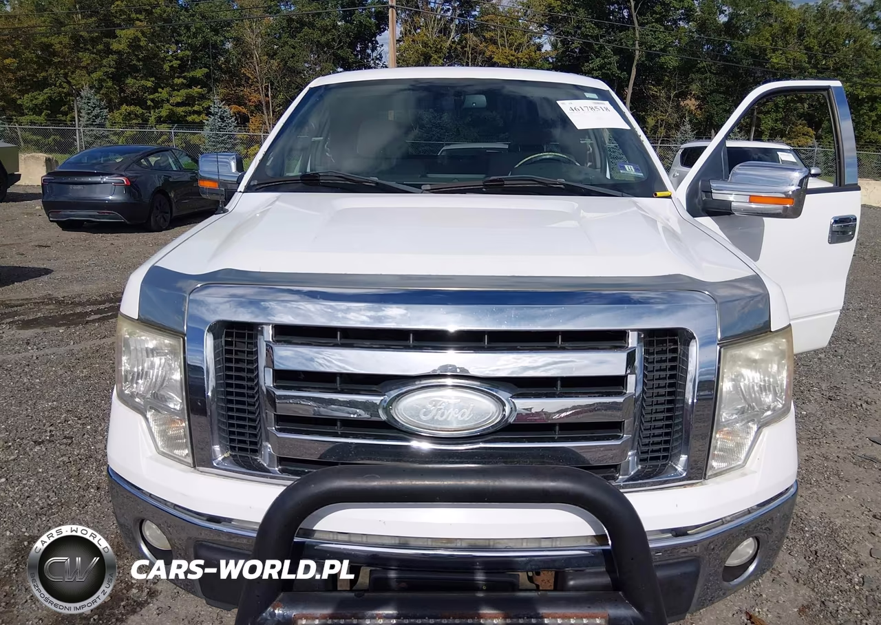 2009 Ford F-150 Stx-Xl-Xlt VIN:1FTRX14899FA79185 - 6