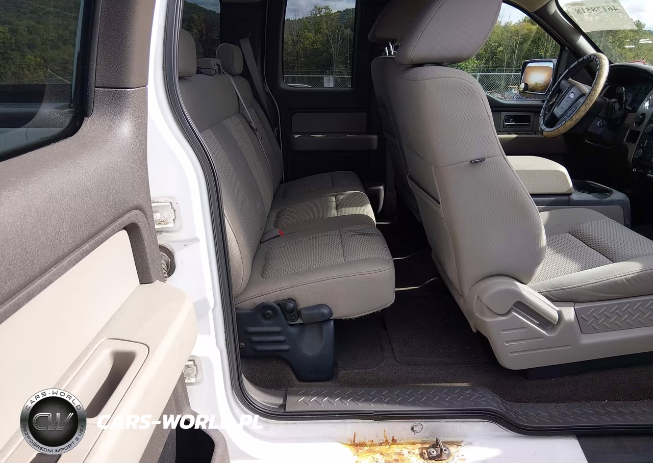 2009 Ford F-150 Stx-Xl-Xlt VIN:1FTRX14899FA79185 - 8