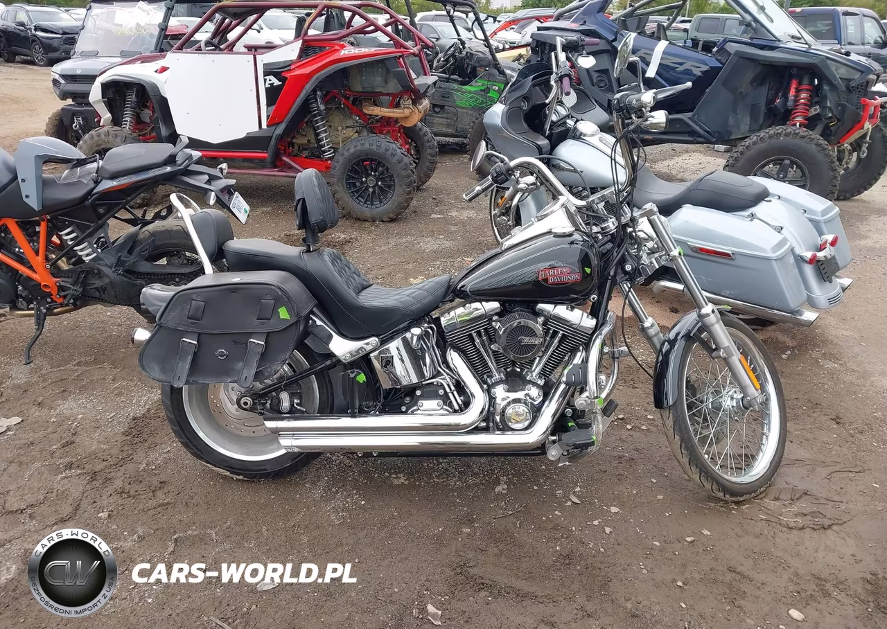2009 Harley-Davidson Fxstc VIN:1HD1JL5109Y066971 - 11