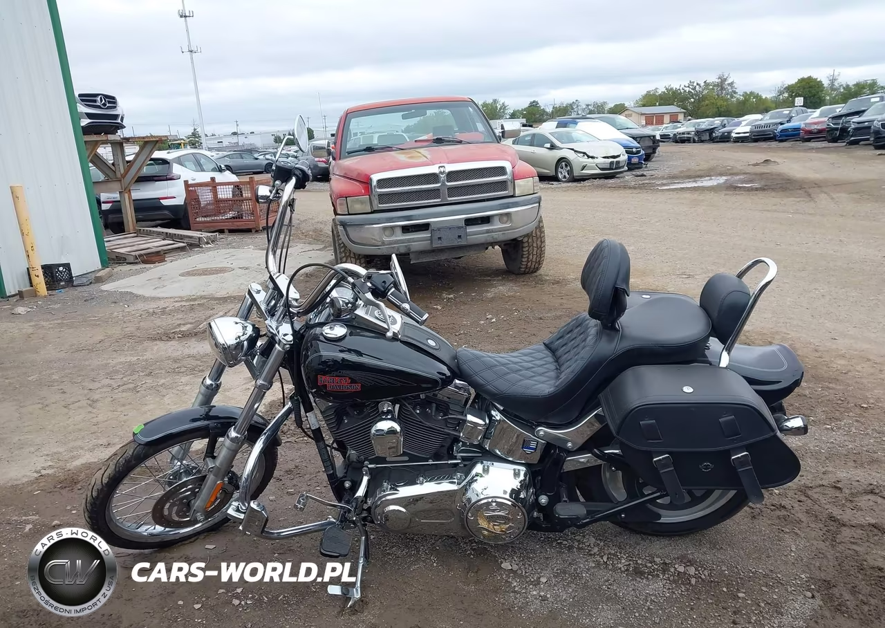 2009 Harley-Davidson Fxstc VIN:1HD1JL5109Y066971 - 12