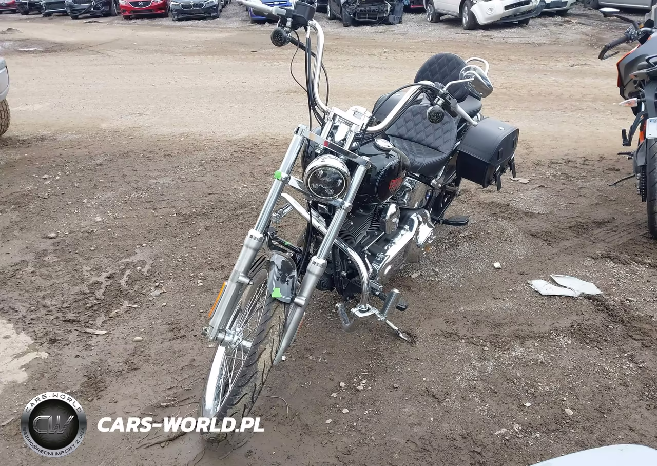 2009 Harley-Davidson Fxstc VIN:1HD1JL5109Y066971 - 2