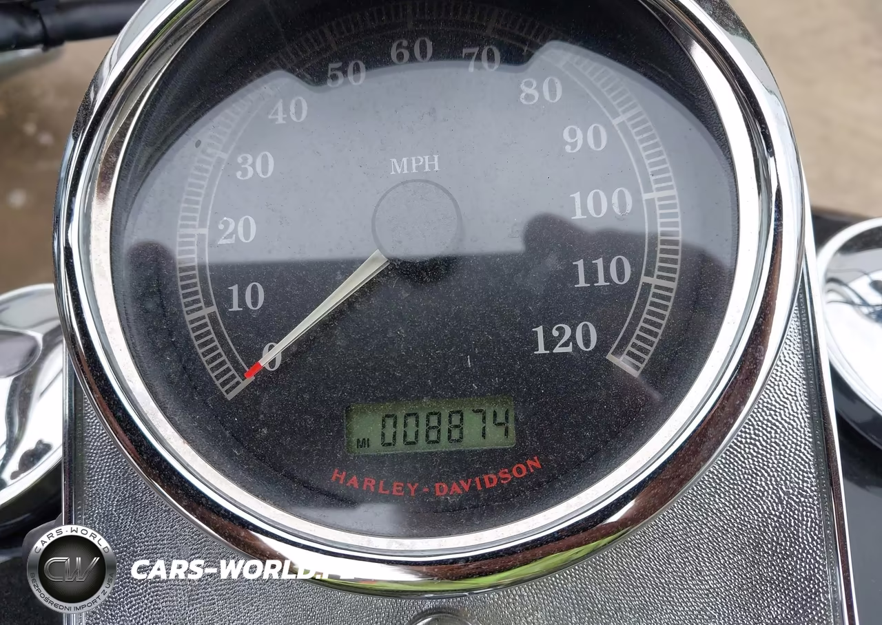 2009 Harley-Davidson Fxstc VIN:1HD1JL5109Y066971 - 7