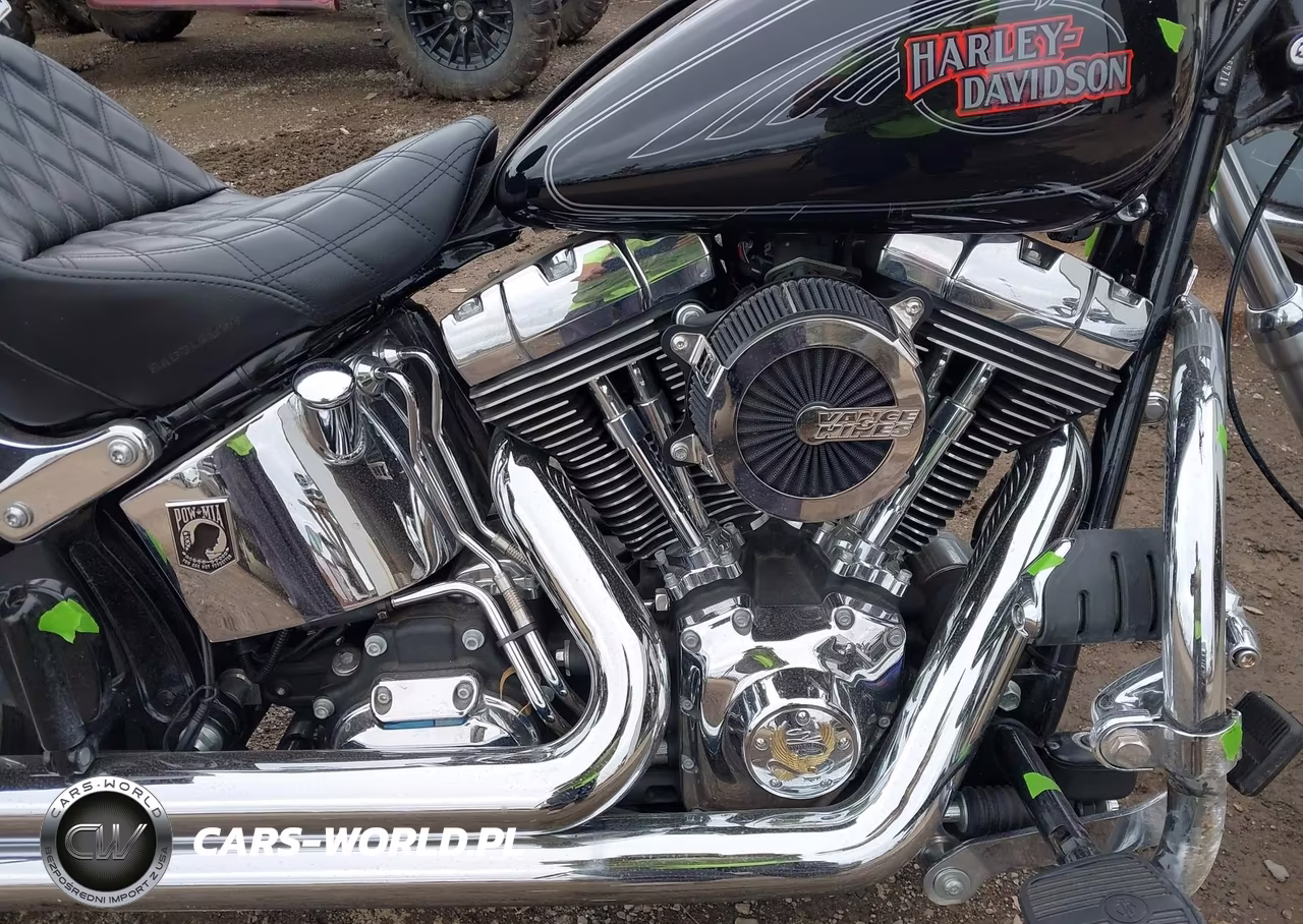 2009 Harley-Davidson Fxstc VIN:1HD1JL5109Y066971 - 8