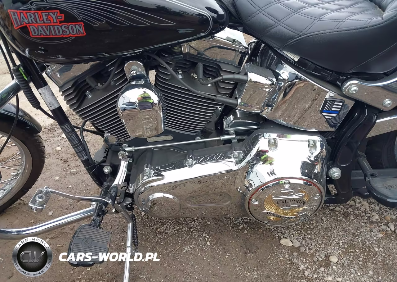 2009 Harley-Davidson Fxstc VIN:1HD1JL5109Y066971 - 9