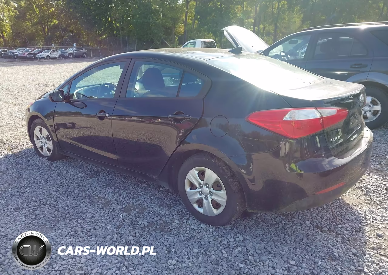 2016 Kia Forte Lx VIN:KNAFK4A60G5615205 - 3