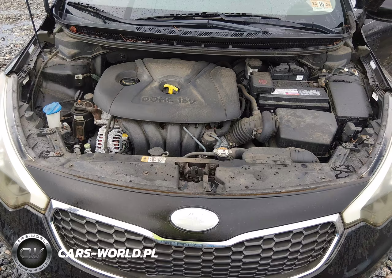 2014 Kia Forte Lx VIN:KNAFK4A67E5131478 - 10
