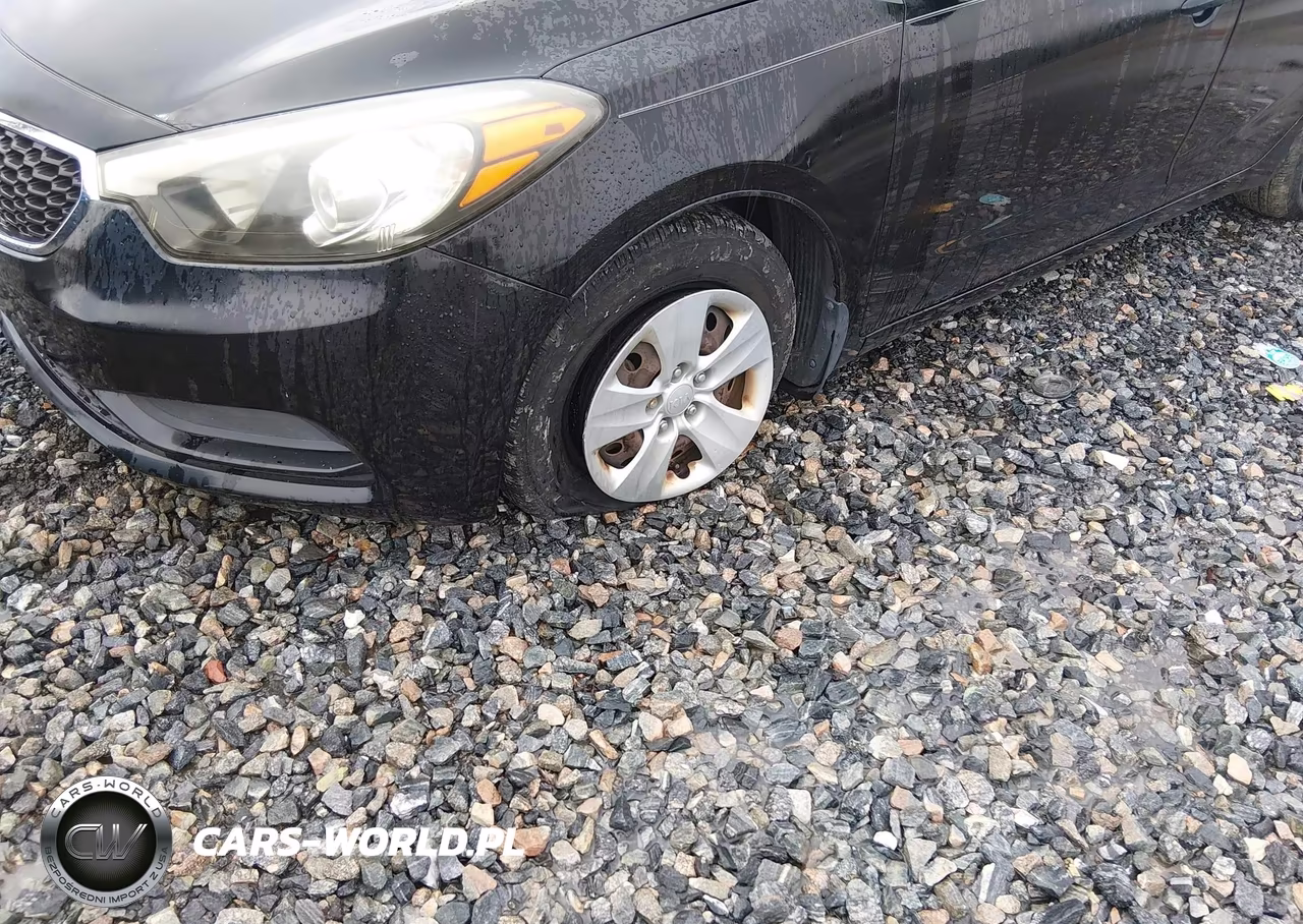 2014 Kia Forte Lx VIN:KNAFK4A67E5131478 - 13