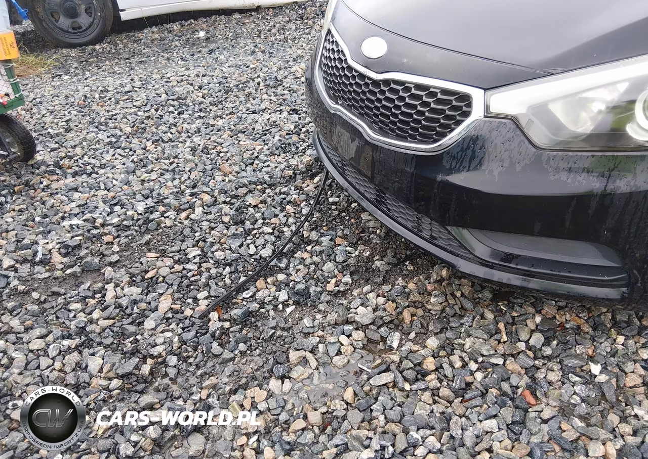 2014 Kia Forte Lx VIN:KNAFK4A67E5131478 - 14