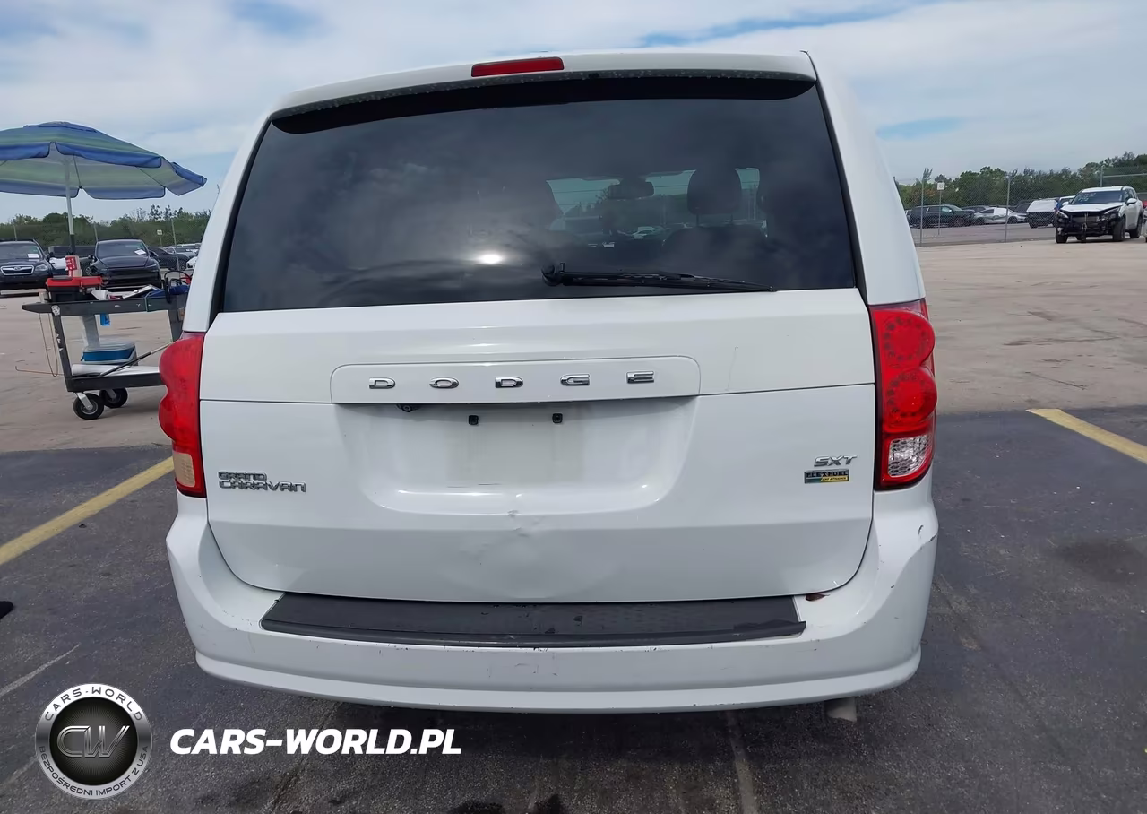 2018 Dodge Grand Caravan Sxt VIN:2C4RDGCGXJR300729 - 16