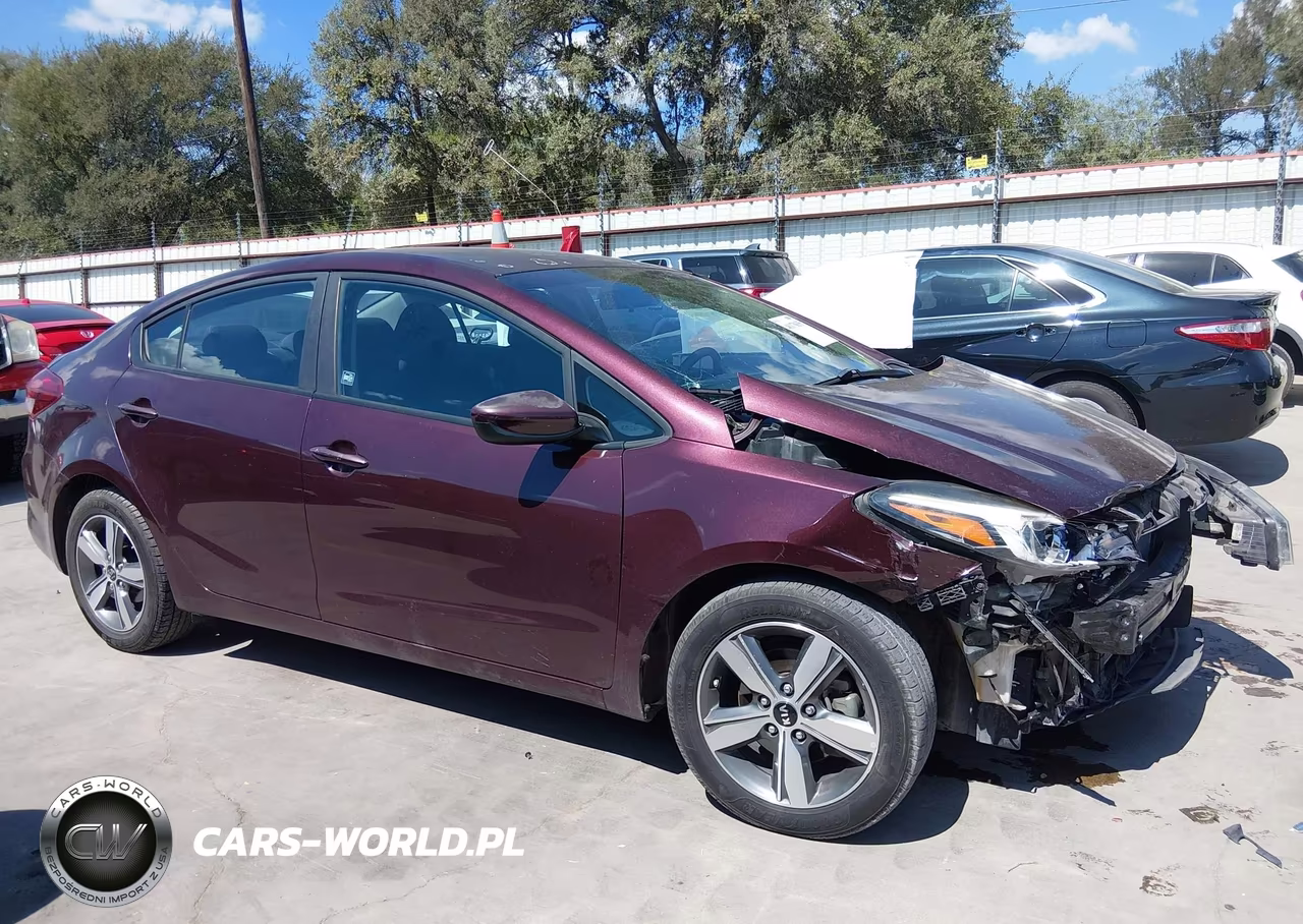 2018 Kia Forte Lx VIN:3KPFL4A74JE166793 - 13