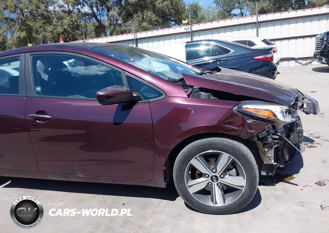 2018 Kia Forte Lx VIN:3KPFL4A74JE166793 - 17