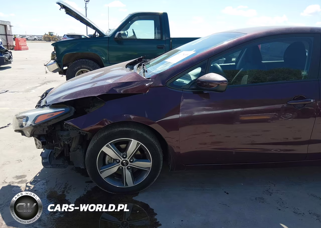 2018 Kia Forte Lx VIN:3KPFL4A74JE166793 - 18